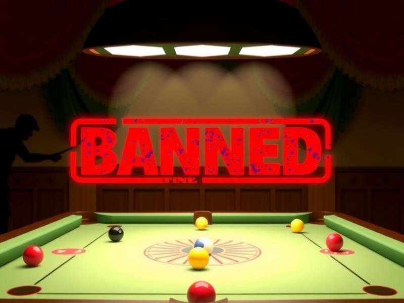 Carrom Pool Webshop Trick Banned