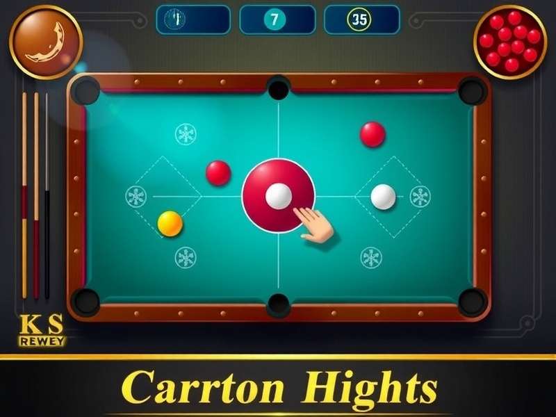 Carrom Pool Disc Game special discs visualization